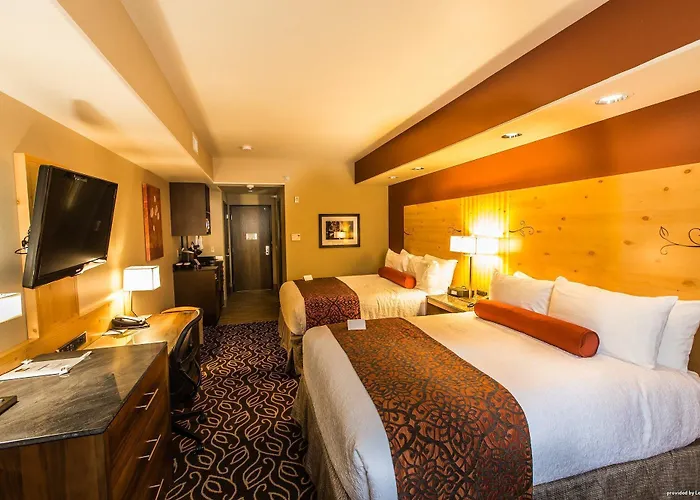 Western Premier Ivy & Hotel Cody